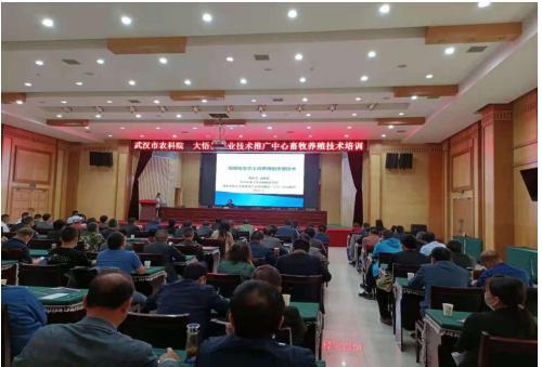 大悟縣農(nóng)業(yè)技術(shù)推廣中心聯(lián)合武漢市農(nóng)科院開展科技服務(wù)活動(dòng)