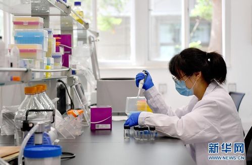 陜西楊凌 發(fā)展特色現代農業(yè) 助力鄉(xiāng)村振興