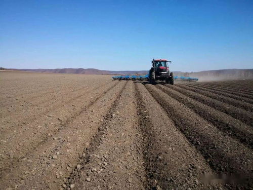 好一片希望的田野〡北大荒現代農業(yè)插上科技翅膀