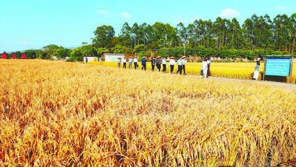 聚力加強農(nóng)業(yè)科技服務體系建設