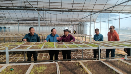 常德市| 石門縣農(nóng)業(yè)農(nóng)村局干部開展糧食生產(chǎn)大服務活動