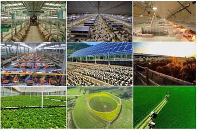 2023年慶陽農業農村工作十大成效