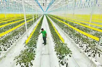 打造全國現代農業發展樣板 四川這7地將獲支持