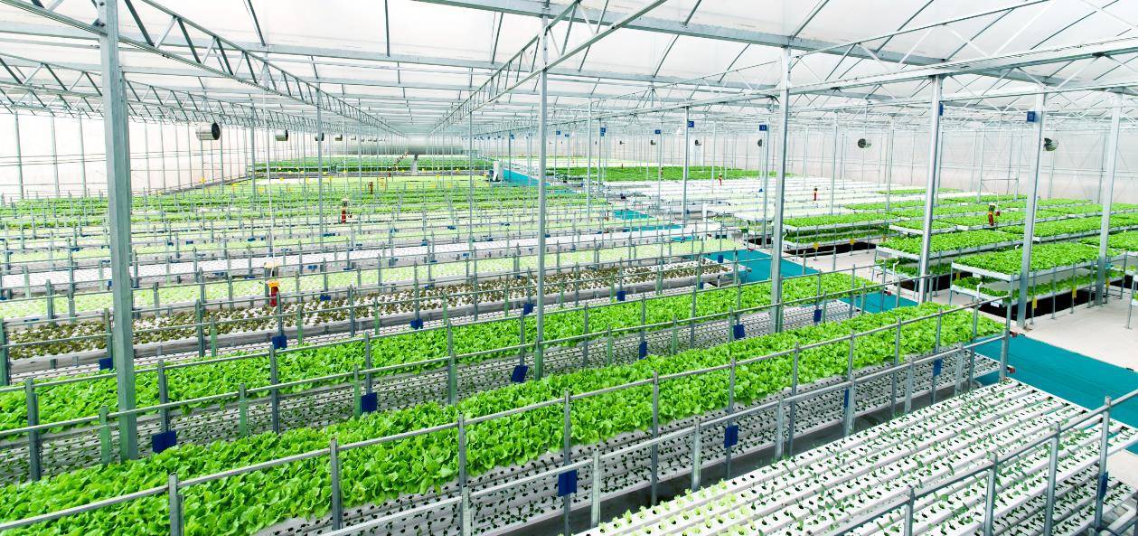 從農業4.0到旅游4.0,春沐源投資200億打造生態小鎮