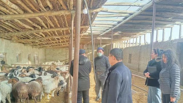 市林草局:提高農(nóng)業(yè)科技服務(wù)水平 加快科技成果轉(zhuǎn)化