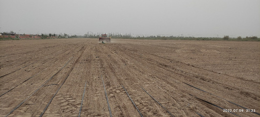 &ldquo;綠洲農(nóng)業(yè)生態(tài)與環(huán)境&rdquo;團(tuán)隊(duì)赴第三師開展鹽堿地飼料油菜栽培科技服務(wù)