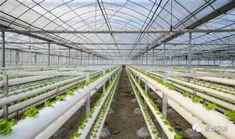 推進(jìn)農(nóng)產(chǎn)品產(chǎn)業(yè)化,把握好這三個(gè)階段是關(guān)鍵