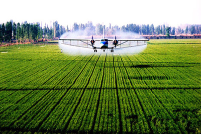 推動農業現代化,政府農業創業項目的重要性