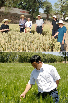 【社會服務(wù)紀(jì)實(shí)】農(nóng)學(xué)院黨委抓黨建促鄉(xiāng)村振興紀(jì)實(shí)-甘肅農(nóng)業(yè)大學(xué)