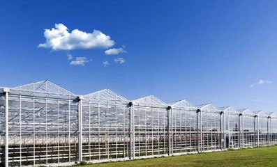 延安薄膜溫室大棚建造天津溫室大棚鋼管