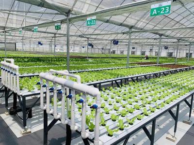 補貼上百萬!數字農業工廠:智能化、自動化的農業生產新模式
